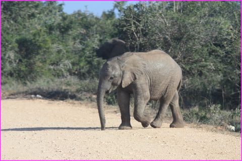 ... et moi je suis ...
