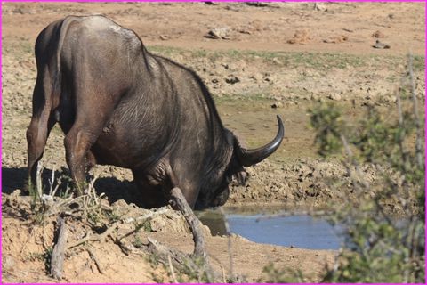 Faut bien se d�salt�rer un peu, mais quelle acrobatie !