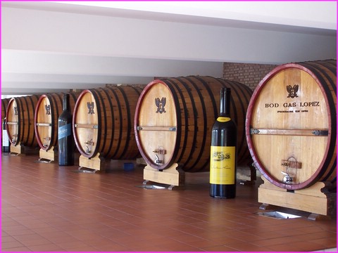 Dans une grande Bodega moderne de Mendoza (Cr�dit photo : J�rgen)