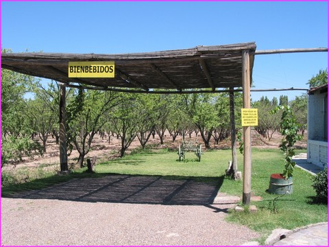 Dans cette Bodega, le bienvenido est devenu Bienbebido !