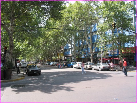 Toutes les rues de Mendoza sont tr�s arbor�es