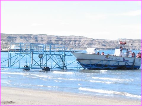 Une mani�re originale de mettre � l'eau les bateaux pour aller voir les baleines
