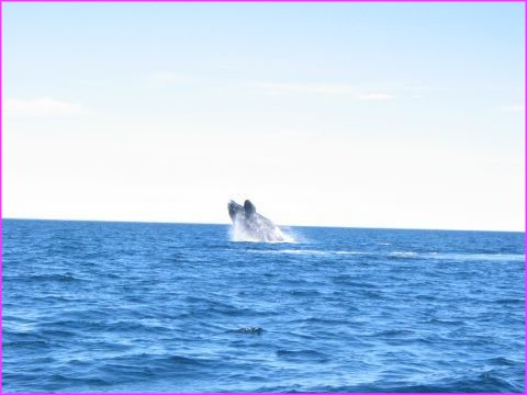 ..... et la phase de d�collage ..............