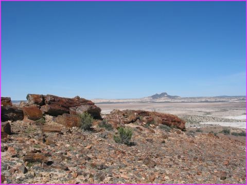 ... encore de beaux specimens du m�me age !