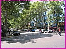 Toutes les rues de Mendoza sont tr�s arbor�es