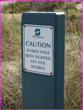 Histoire de ne pas oublier que nous sommes dans un pays o� les serpents sont nombreux et quelquefois dangereux