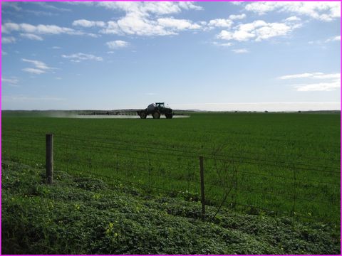 Les champs, le mat�riel sont en proportion avec la taille du pays : immenses