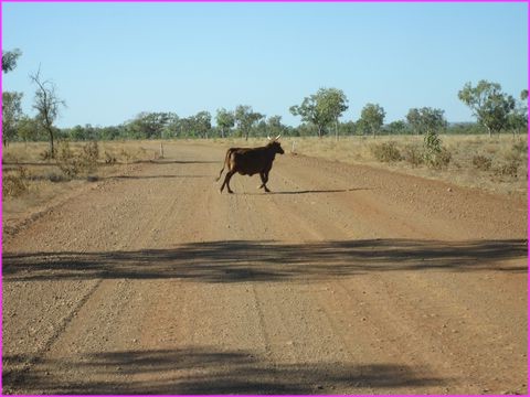 Tient, y'a un quelqu'un sur la GRR
