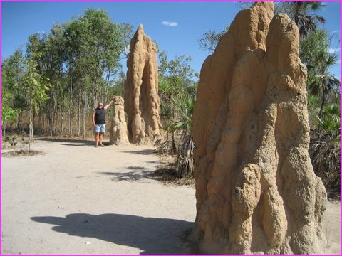 Termiti�res g�antes ... vraiment g�antes