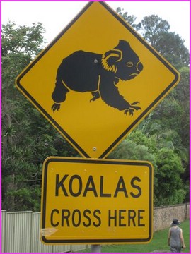 Alors l�, s'il y en a un qui ralentit pas, on lui ........