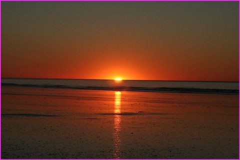 Encore un parmi les centaines que l'ont peu admirer ici