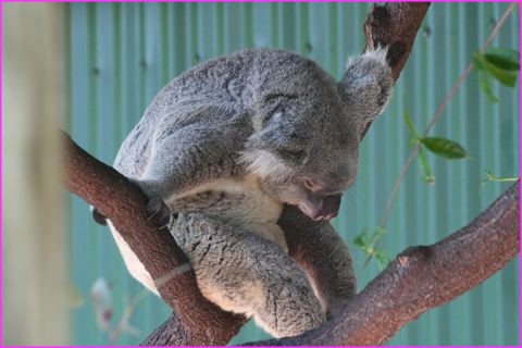 Pfeeeeeeeeeeeeeeh vous avez vu le match France Nouvelle Z�lande ? J'en suis encore tout fatigu�