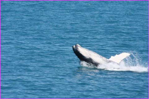 Et je vous le fait que pour vous : d�collage sur le dos