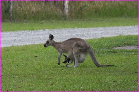 Vu comment j'�tais rentr� dans la poche de maman, je ressors 