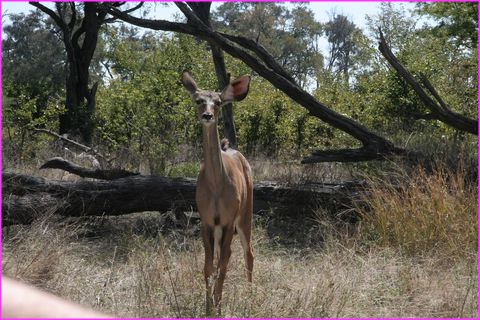 T'as fini de me reluquer !