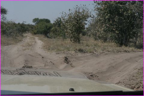 Il y a de quoi s'y ensabler mais aussi s'y perdre dans Moremi et Chobe