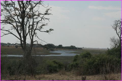 Beau paysage le long de la Chobe River pr�s de Kasane