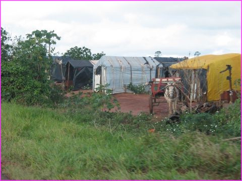Un exemple d'habitat de fortune que l'on peut voir le long des routes