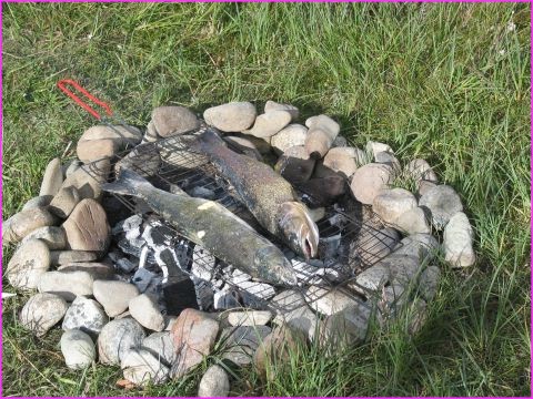 .... on vous l'avait dit : �a a mordu dans le Rio Serano du Parc Torres del Paine