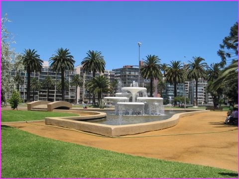 Un coin de jardin et de verdure parmi bien d'autres, au centre de Vina del Mar