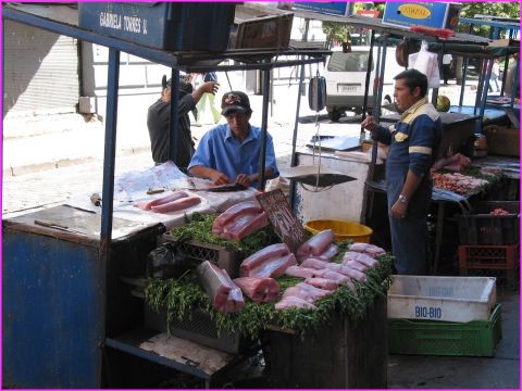 Le march� aux poissons ....