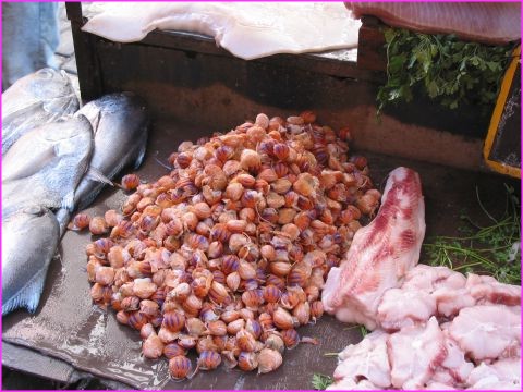 ... et aux crustac�s et coquillages