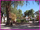 La place joliement arbore de San Pedro de Atacama