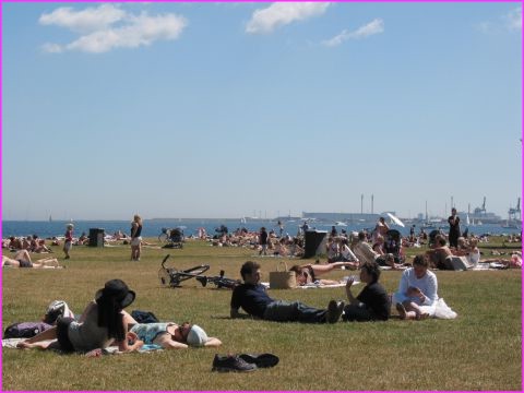 Mais oui, on va bronzer sur les pelouses (et m�me y'en a qui se baignent !) � Copenhague en bord de mer
