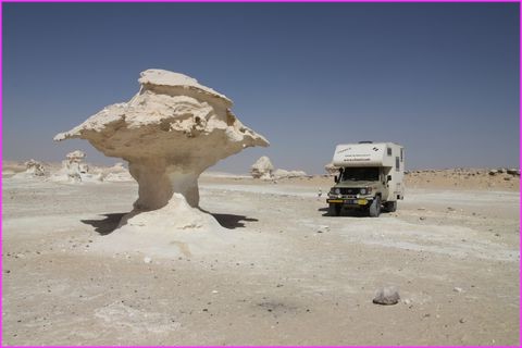 Un grand champignon, m�me plus grand que Prosper, dans le d�sert blanc