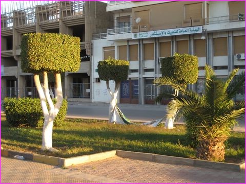 Vous avez vu la coupe au cylindre qu'il m'ont faite  !