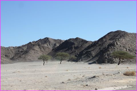 Paysage du centre assez semblable � certains coins de Oman