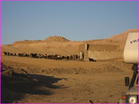 Bivouac sauvage avec ch�vres et moutons pour voisins