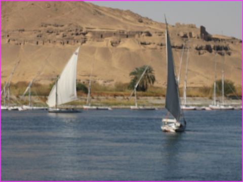 Felouques sur le Nil