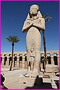 Dans le site de Karnak (Louxor)