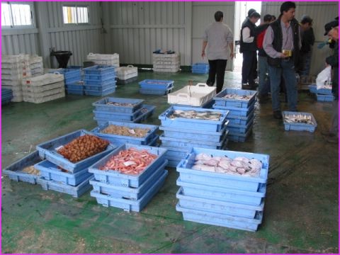 La cri�e � Benicarlo