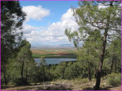 Etape dans la for�t au dessus de Cogollos de Guadix