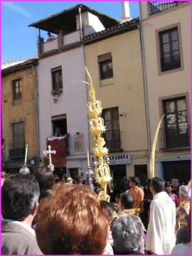 Grenade : procession ==> un rameau