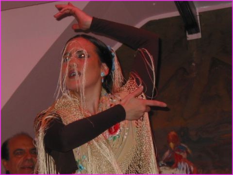 S�ville : Flamenco � Los Gallos