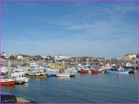 Le joli petit port de la Cotini�re sur l'Ile d'Ol�ron