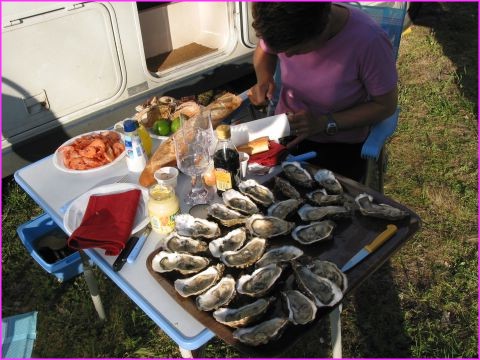 D�gustation de coquillages 