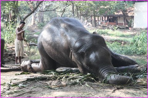 C'est � se rouler par terre de bonheur ce jet d'eau sur ma peau d�licate