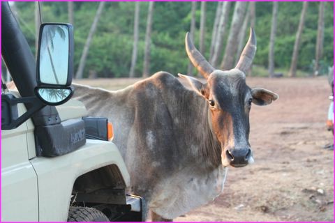 Et alors, nous aussi on aime les sacr�s voyageurs !