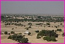 Prosper dans le d�sert du Thar pr�s des dunes de Khuri