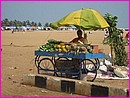 Marchand de plage