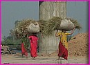 Les femmes sont toujours en train de travailler, porter des charges sur la t�te, ...