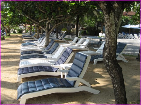 Lequel je vais choisir pour la sieste .....