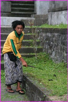 La tondeuse � gazon locale