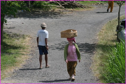 Beaucoup de transport 