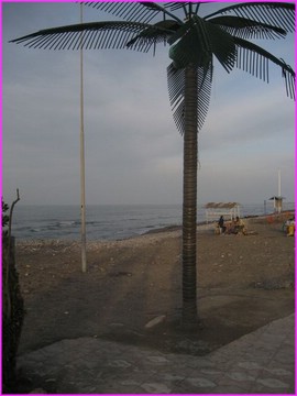 M�me avec des palmiers ... en plastic, la Caspienne nous est apparue triste, sombre, grise comme sa plage, ....