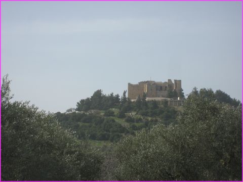 Le ch�teau de Ajlun